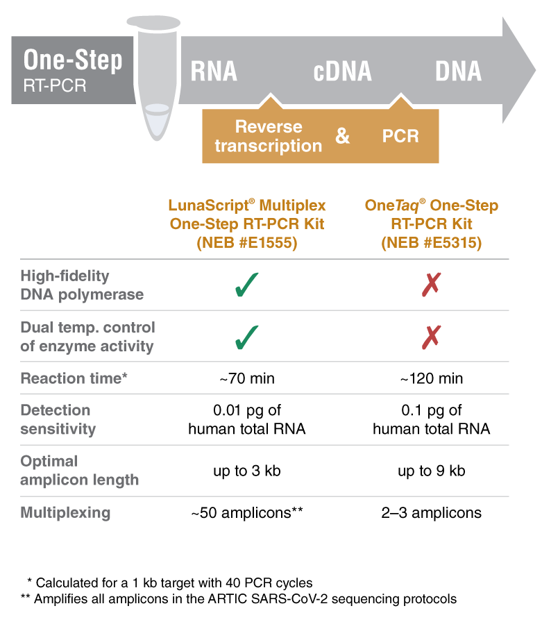 LunaScript® 一步法多重 RT-PCR 试剂盒--NEB