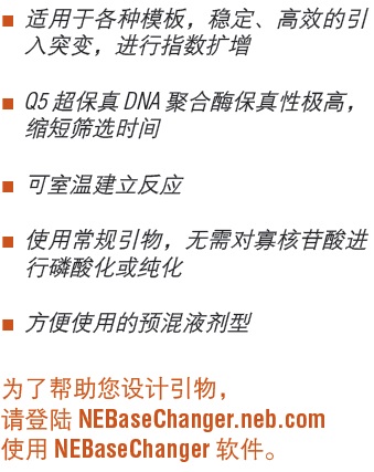 Q5®定点突变试剂盒(不含感受态细胞)--NEB