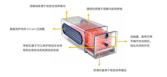 蜂巢式CO2培养箱
