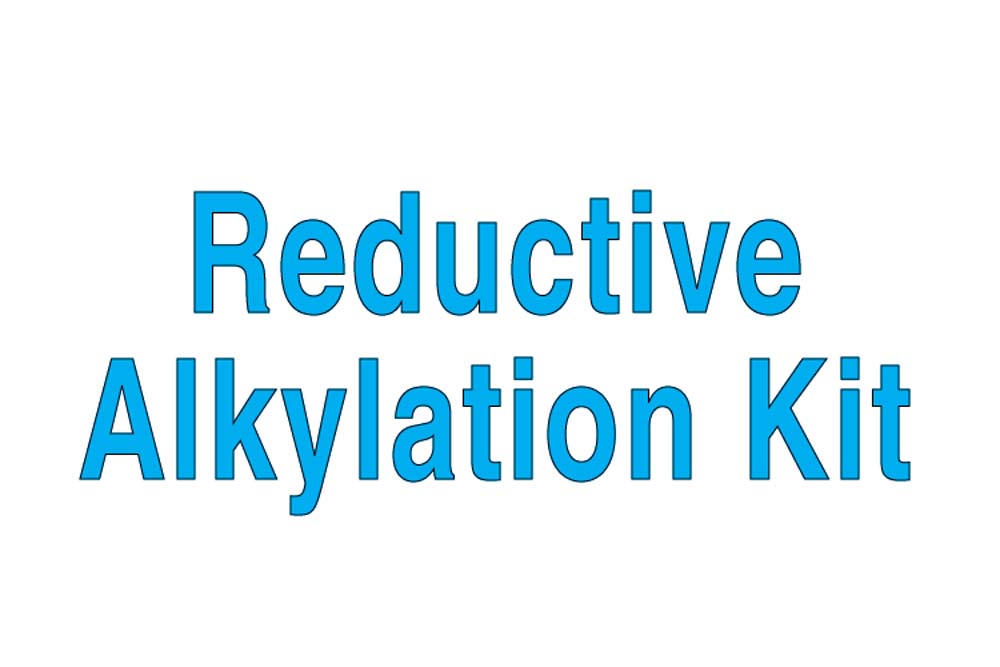 Reductive Alkylation Kit