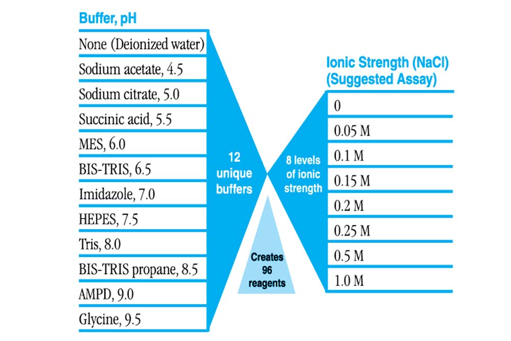 Solubility & Stability Screen 2