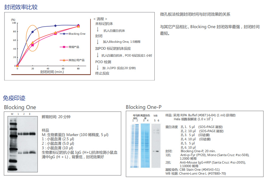 高效封闭液：Blocking One 系列