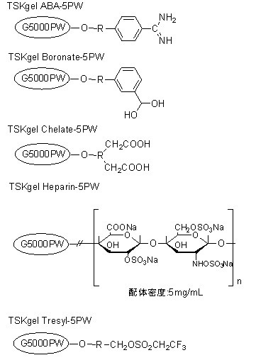 TSK-GEL 亲和层析柱（AFC）