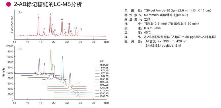 TSKgel Amide-80 2um正相/亲水性色谱柱