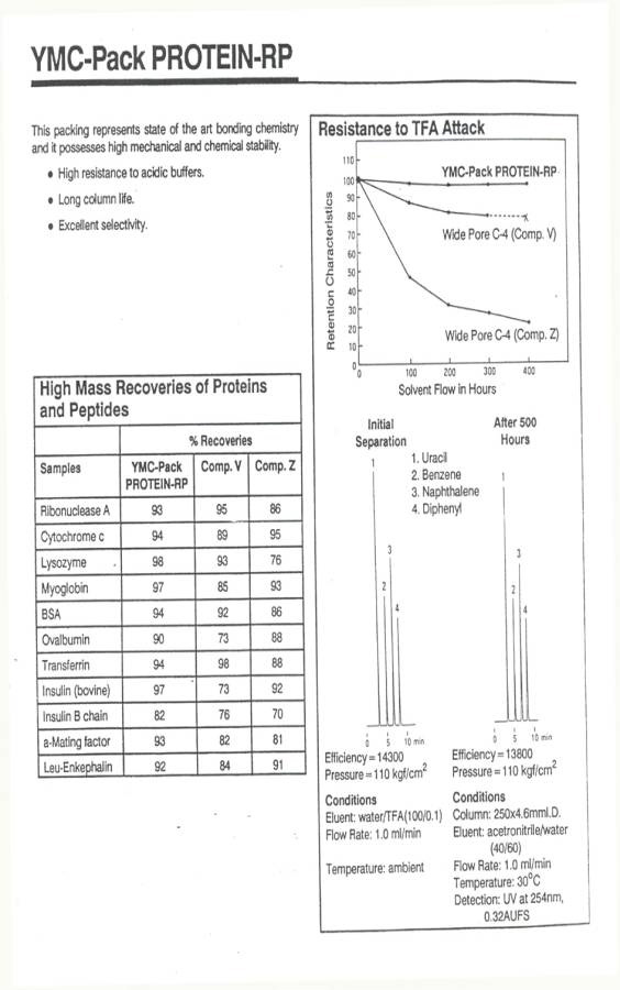 Protein–RPTM色谱柱
