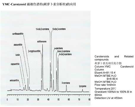 YMC Carotenoid C30 色谱柱