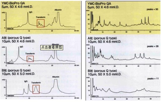 多孔型YMC-BioPro QA系列离子交换色谱柱