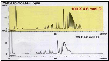 YMC-BioPro QA-F离子交换色谱柱