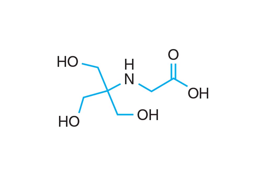 StockOptions Tricine Buffer Kit
