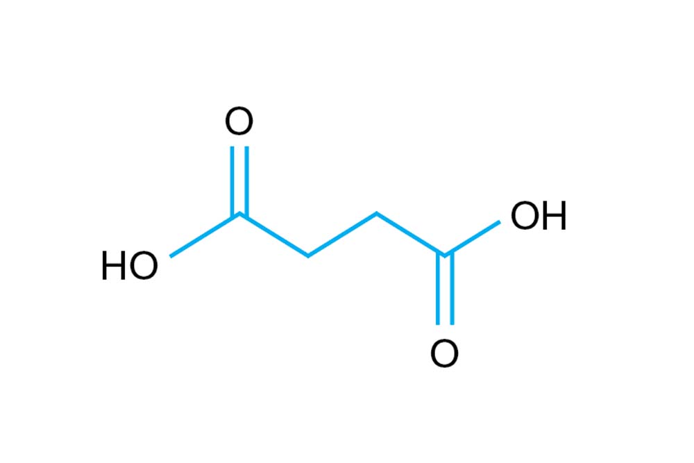 StockOptions Succinic Acid Buffer Kit