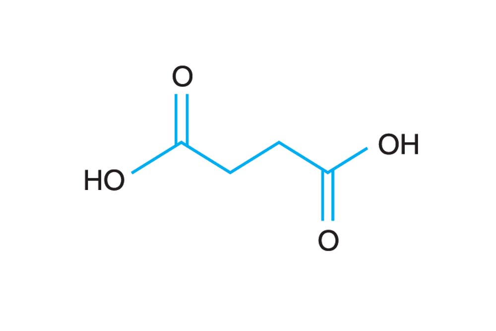 Succinic acid pH 7.0