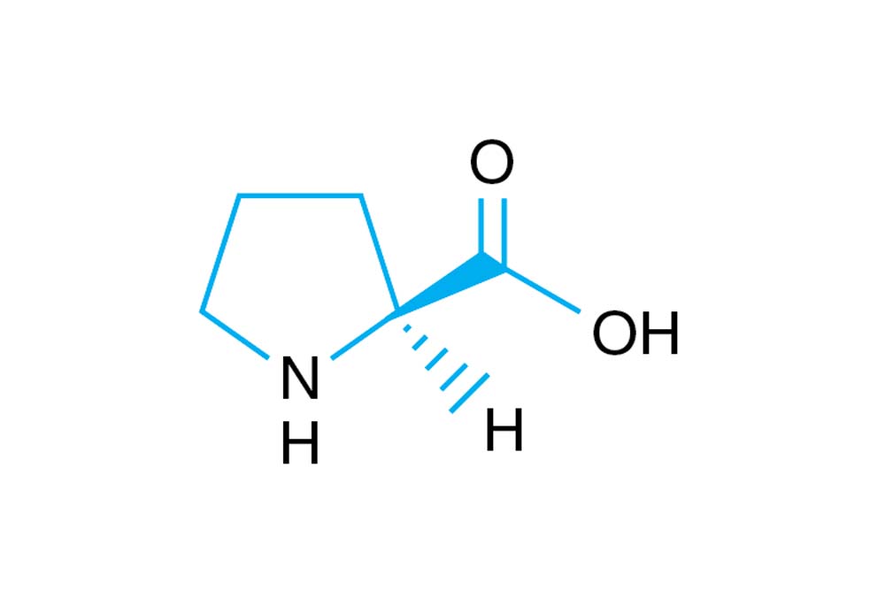 L-Proline