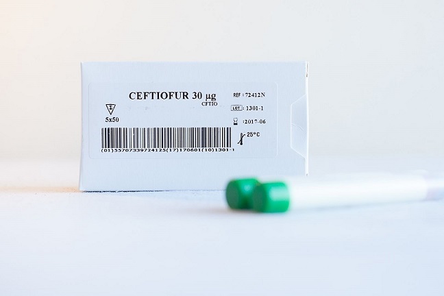 ROSCO 兽医学药敏纸片