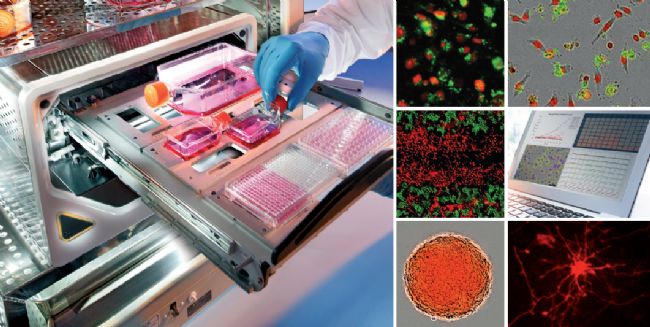 赛多利斯Incucyte&reg; 活细胞分析系统