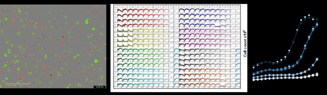 赛多利斯Incucyte&reg; 活细胞分析系统