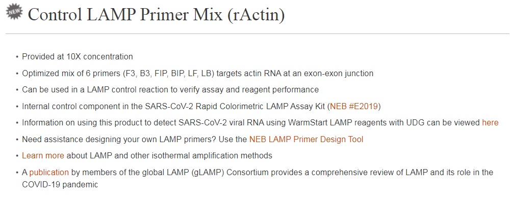 Control LAMP Primer Mix (rActin)--NEB