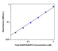 Amplite NADP+/NADPH检测试剂盒（比色法）增强灵敏度    货号15276
